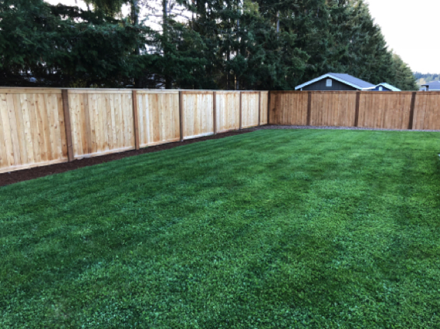 Back Yard - Easy maintenance lawn with cedar fencing